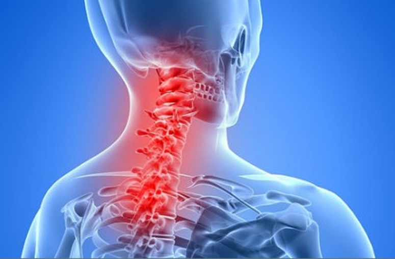 An diagram of the top of a human spine, the neck area.