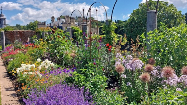 Image from Dyffryn Gardens